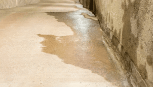 Humedad accidental